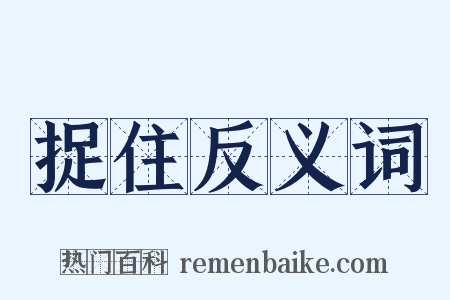 捉住反义词是什么意思的图片